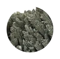 Epilobium